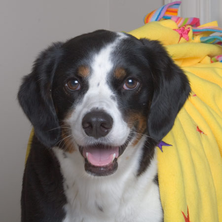 in the meantime maybe I'll hide