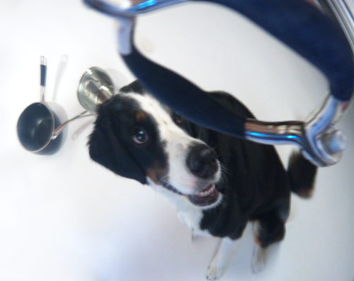 hey good lookin'...whatcha got cookin'?