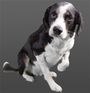 ain't no sunshine when she's gone