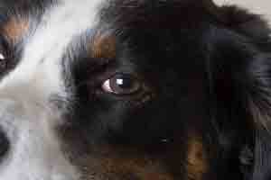 I'll be watching you!  And them.  Unless I get sleepy.