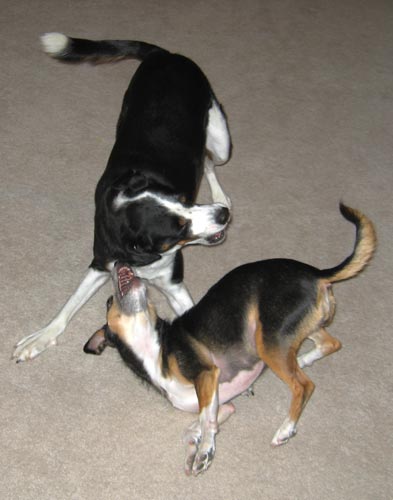 Come here and let me eat you