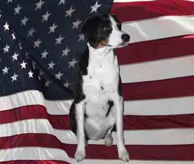 America! America! God shed his treats on me!