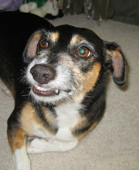 she has an attitude problem