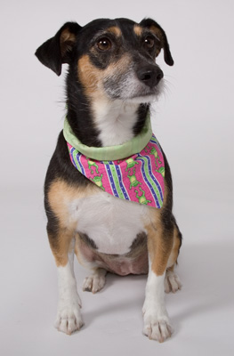 she cleans up pretty good