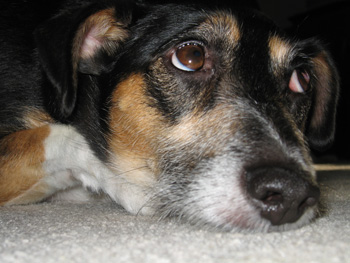 Don't be sad.  We can fix that.