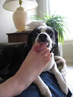 jammin with the toe jam