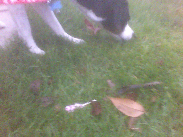 I know it's around here somewhere