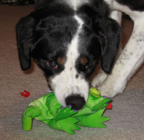 It's really not an aggression thing.