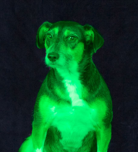 now that's some serious crazy!