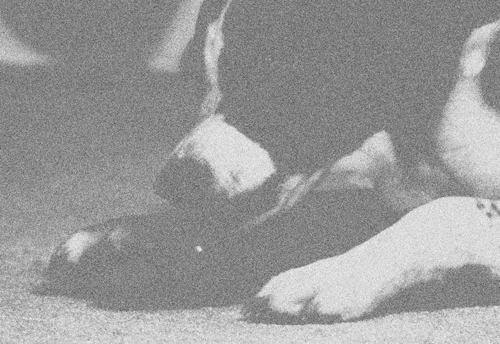 gosh, he's a handsome criminal