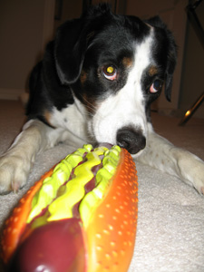 don't be touching my buns.