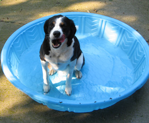 the best flavor is in the middle