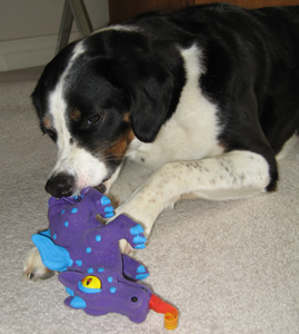 and now i'm gonna eats ya