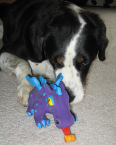 i gotcha where i wants ya