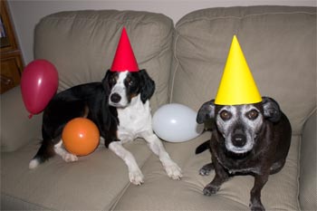 It won't be a party till there is cake