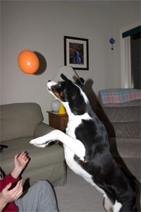 Happy Birthday to me!!!