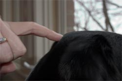 that's it, right there