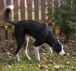 sorry, grass, I'm gonna win