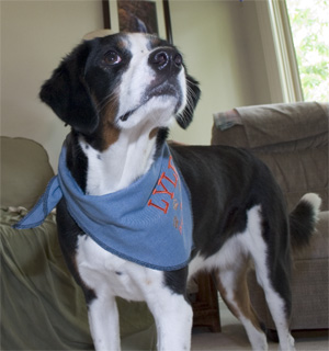 oh, yes, I DO look good, thank you!