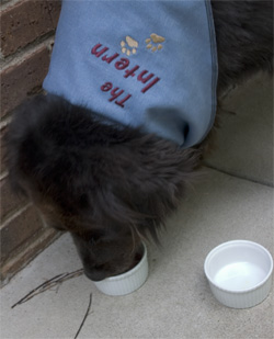 peanut butter went down pretty quick too