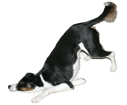 with realistic bendable joints!