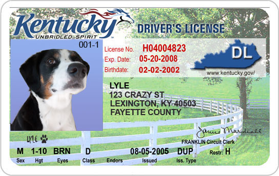 this didn't come from no crackerjack box!