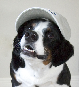 I'm a natural at this baseball thing.