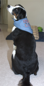 it just doesn't get any darker than this