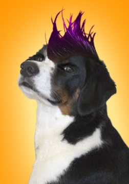 bad to the bone...mmm...bones