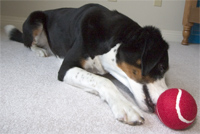 Lyle makes the save and the runner is out at first!!  YAY LYLE!