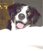 see how much fun this is?