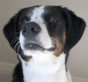 keep your chin up, Bit