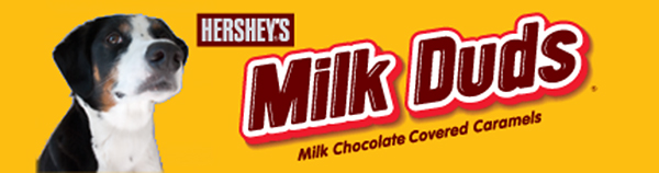 I like these better anyLoo