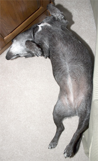 I'm not naming names...but check out that jelly roll!