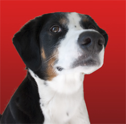 refresh your memory...this was the photo I submitted