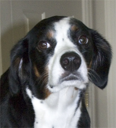 I'll miss me when I'm gone