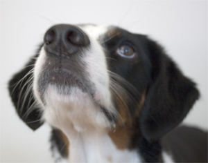 what's happening to me??