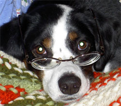 nope, I don't read much.  Hurts my brain.