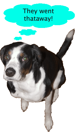 or was it thisaway?  Phooey, I can never remember...