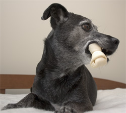 LB has not been working very hard either