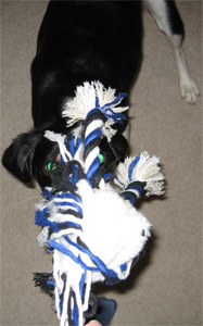 tug o war is good fun