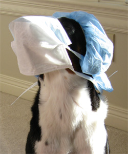 Nurse!  Mop my brow!  STAT!