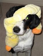 so happy together...