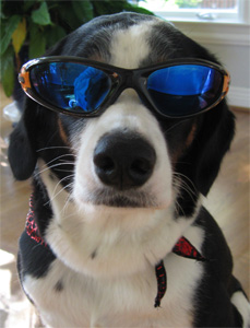 you cannot resist El Loo.  Give with.