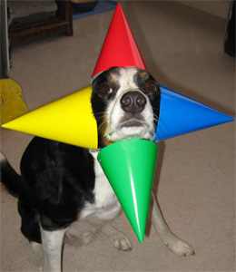 too many!  too many!