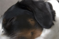 they tell me I am cutest when I am sleeping