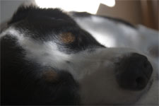 I need my handsome sleep