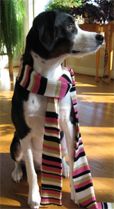 speedy looking scarf...check