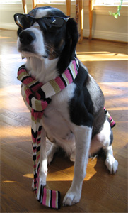 snappy new sunglasses...check