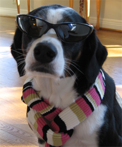 I'll send you a postcard